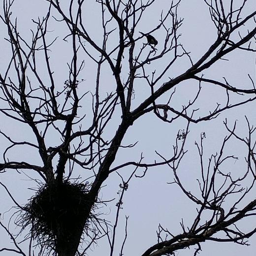 爱听音乐🎵🎤