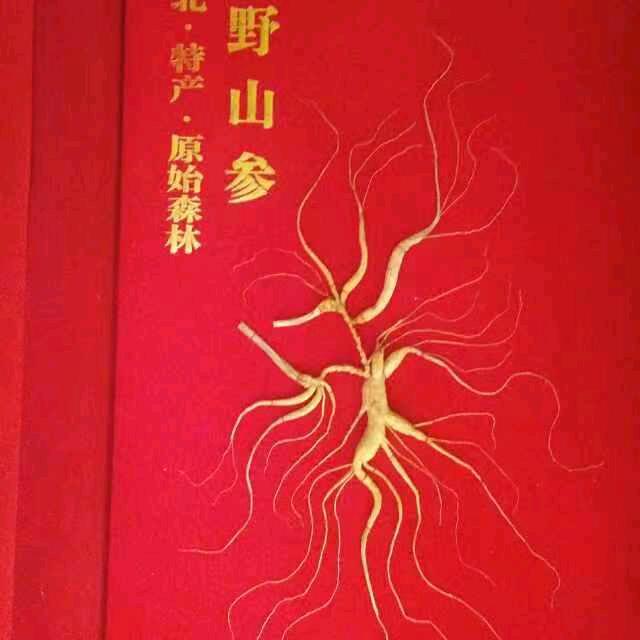 LGL劉