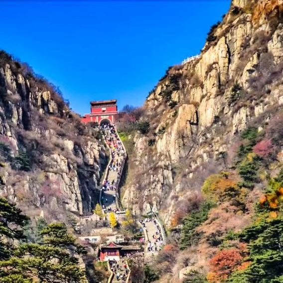 泰山登高（直播爬泰山）