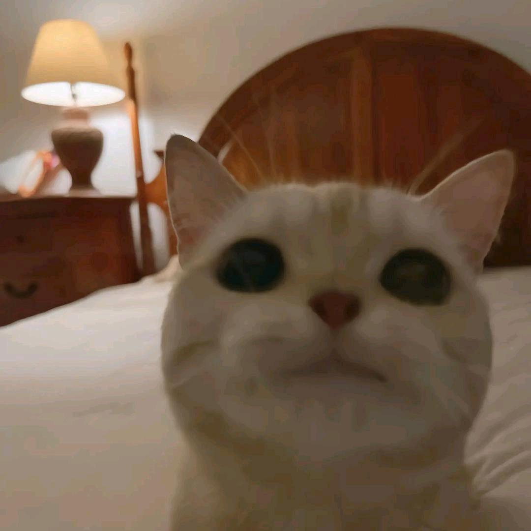 青争鱼^