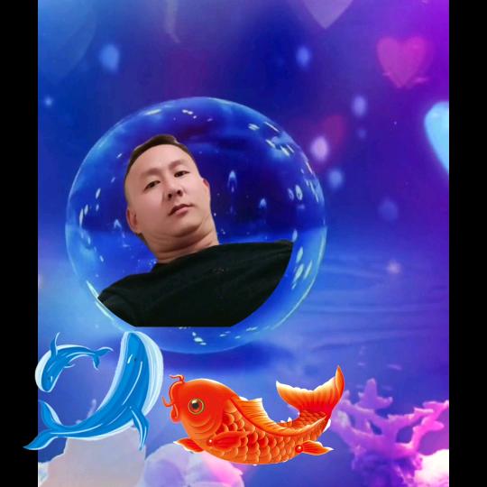 一路向杨