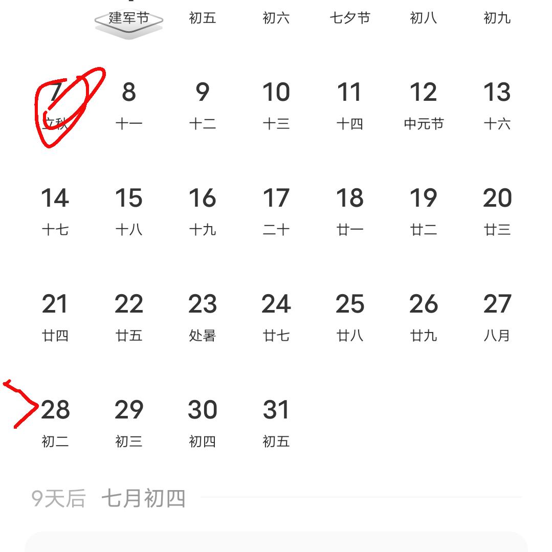 陈媛