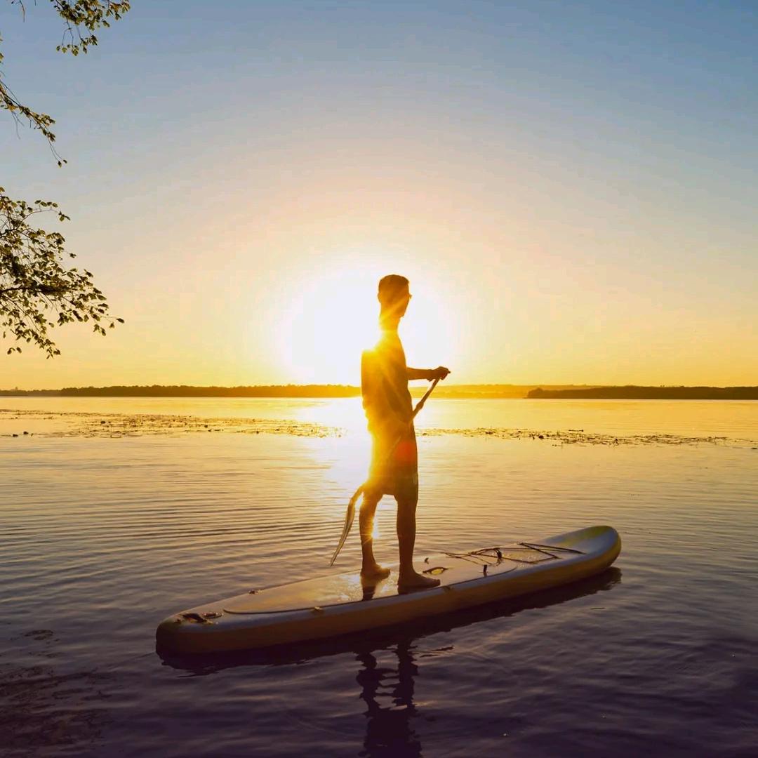 [null]巷子里的猫[null]