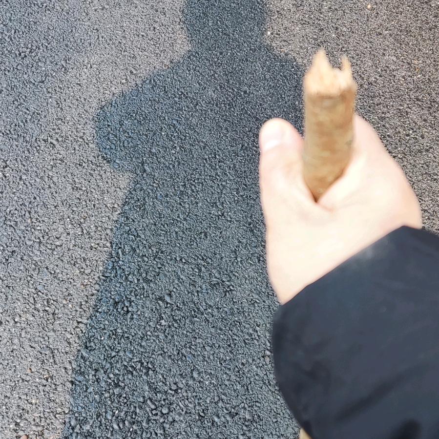 这一趟