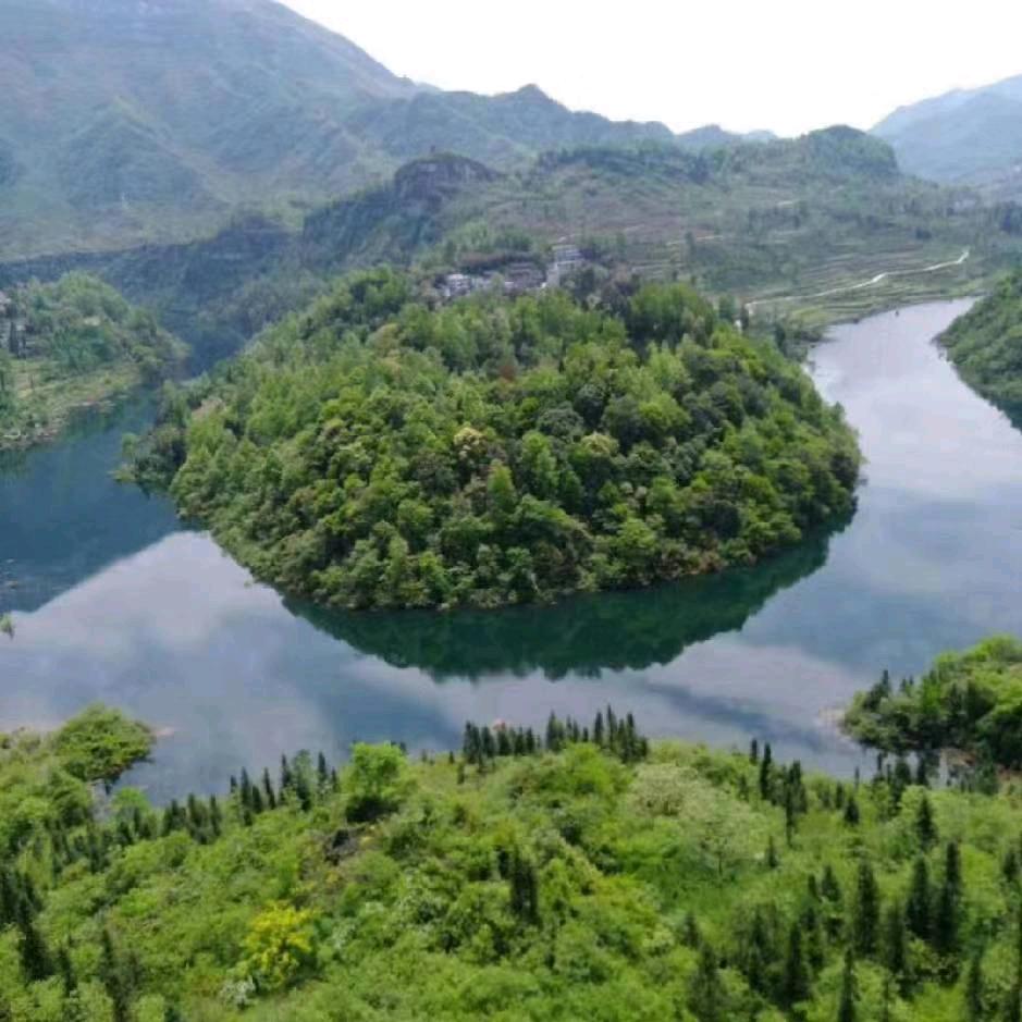 苍天不解人情暖，冷眼看花尽是悲！！