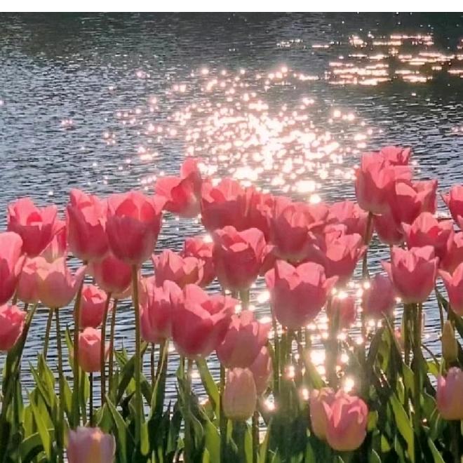 三个孩子的单亲妈妈