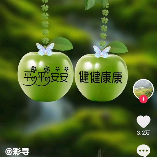 圣博人力资源有限公司