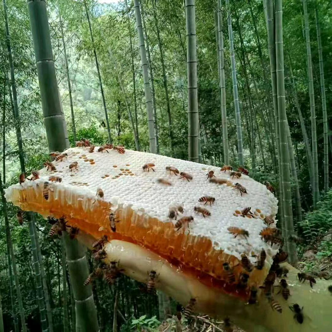 阳过🤔