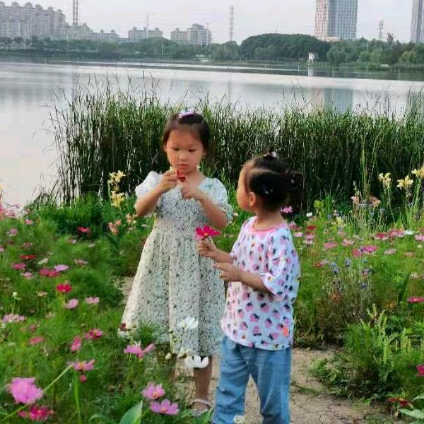圆圆满满