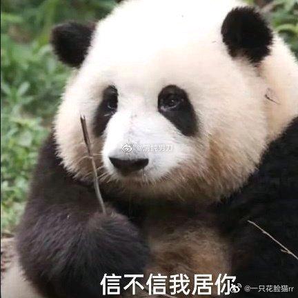 比比酱✨