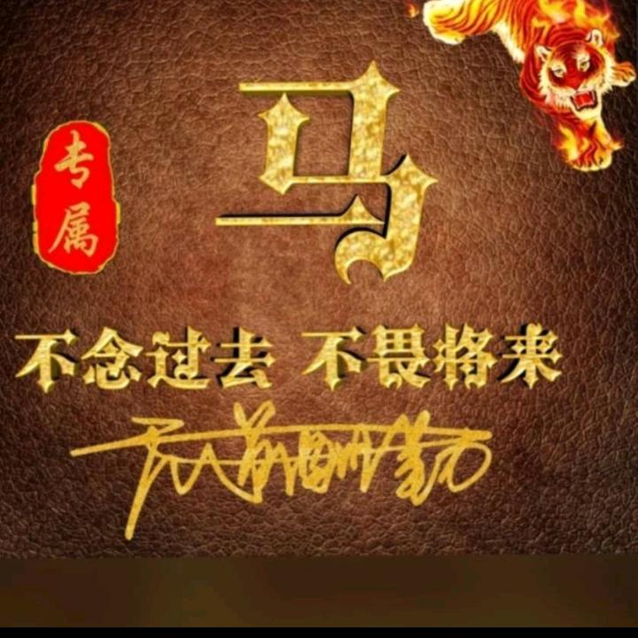马二哥
