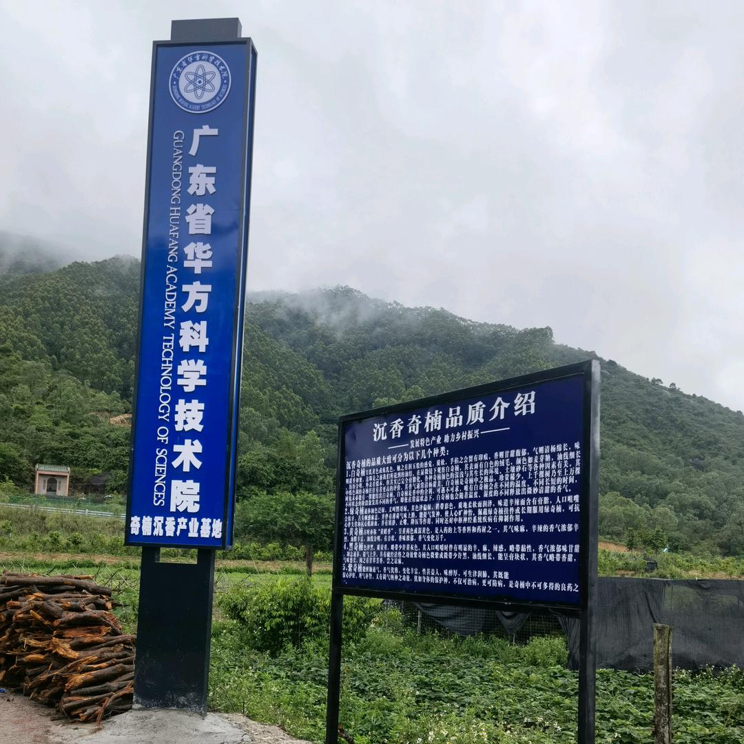 天然1号繁殖基地