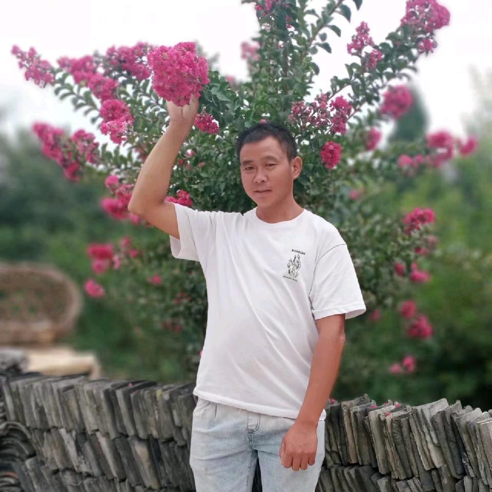 吴平平