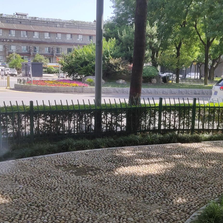 随欲而然