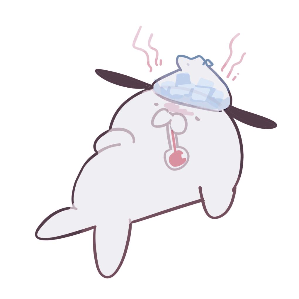 海狗冬瓜汤