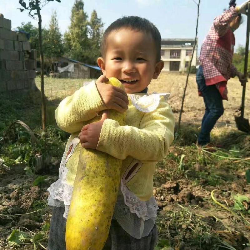 细萍