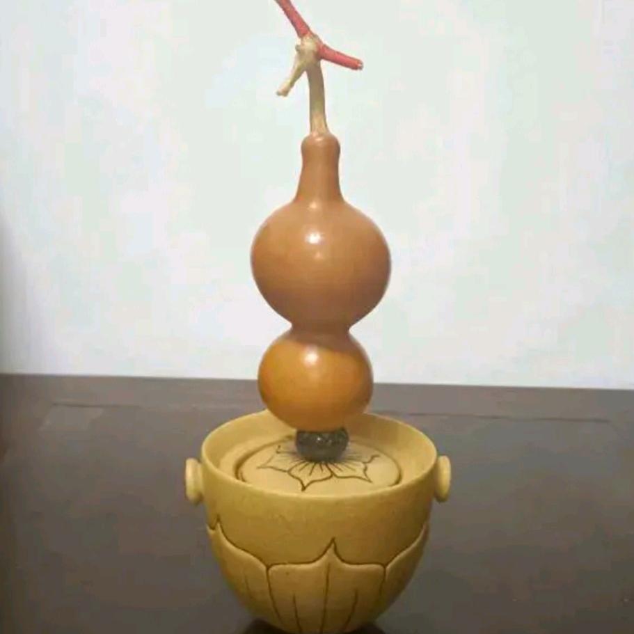 暖心欧巴
