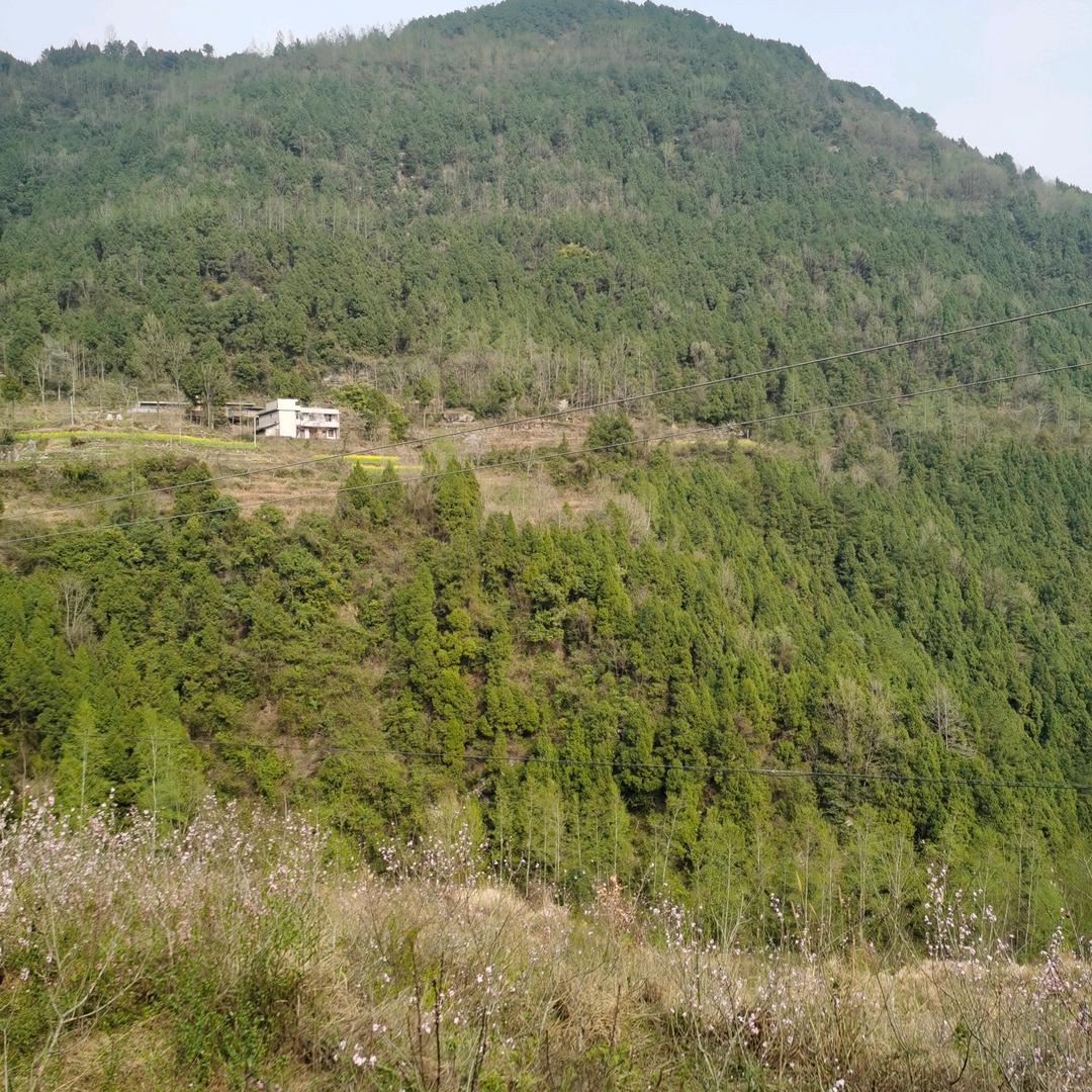 趙先 sheng( ´͈ ⌵ `͈