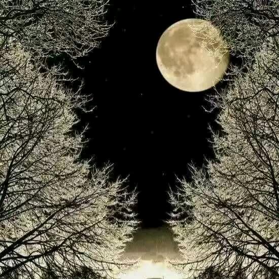 往事如烟单身女人