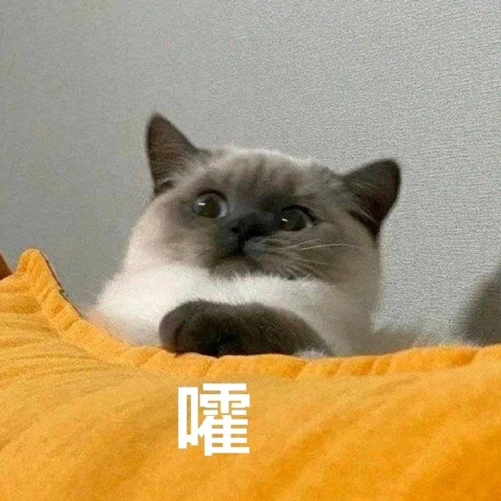 小江本姜