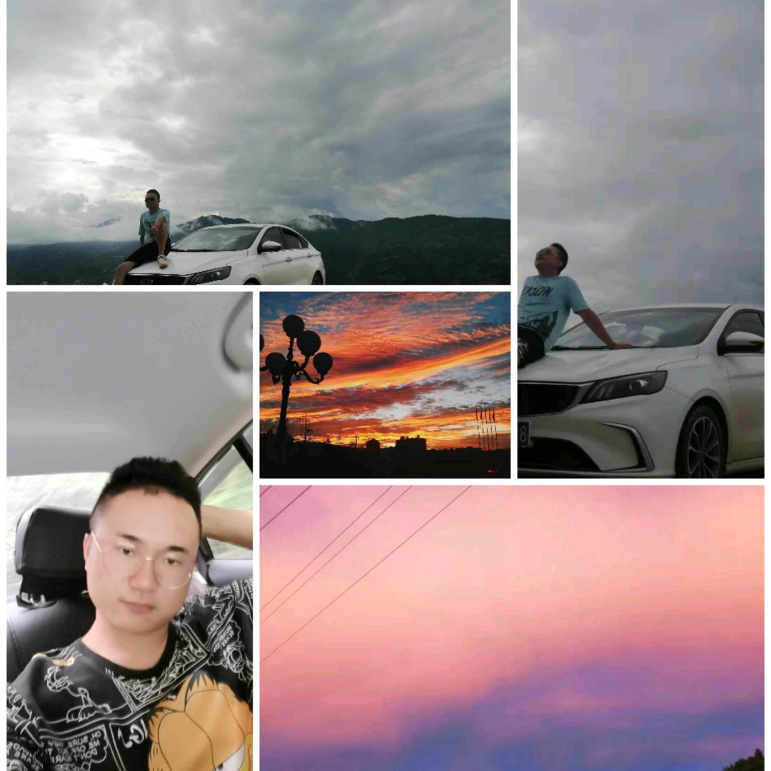 懒羊杨