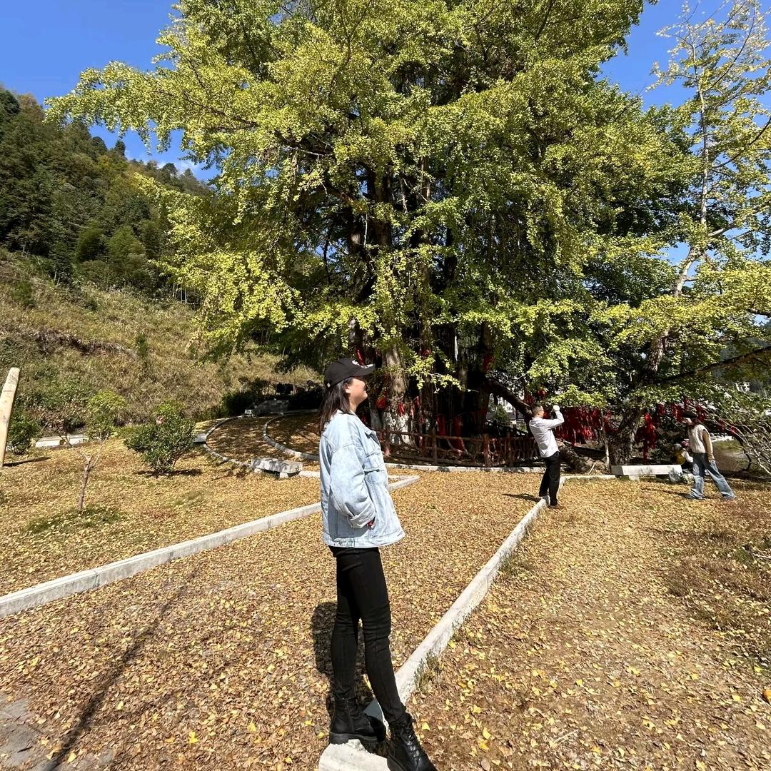 秀山云科房产-唐唐🍬