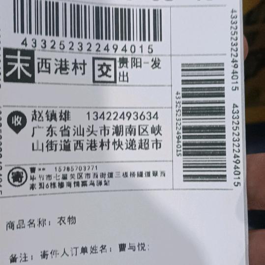白色莆公英