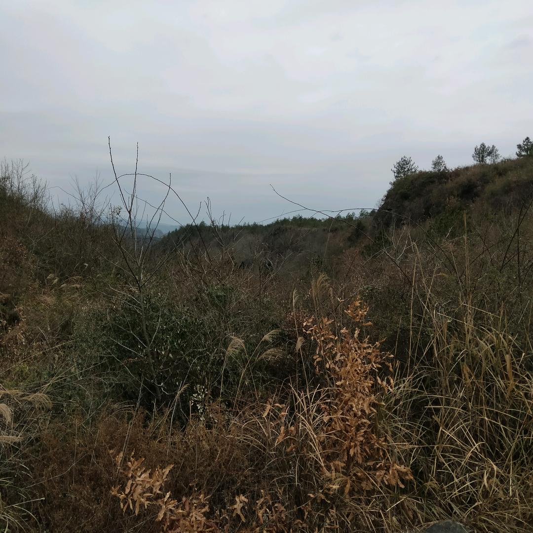i平安