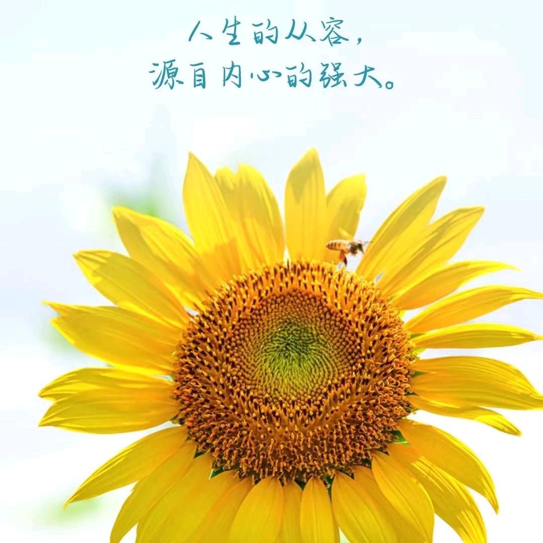平静