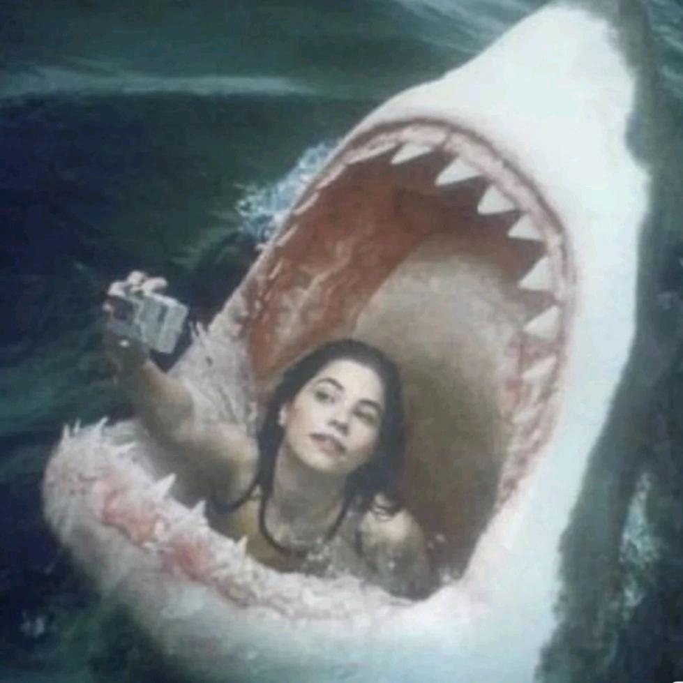 .氿