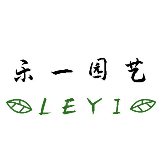 小孙的花园💐