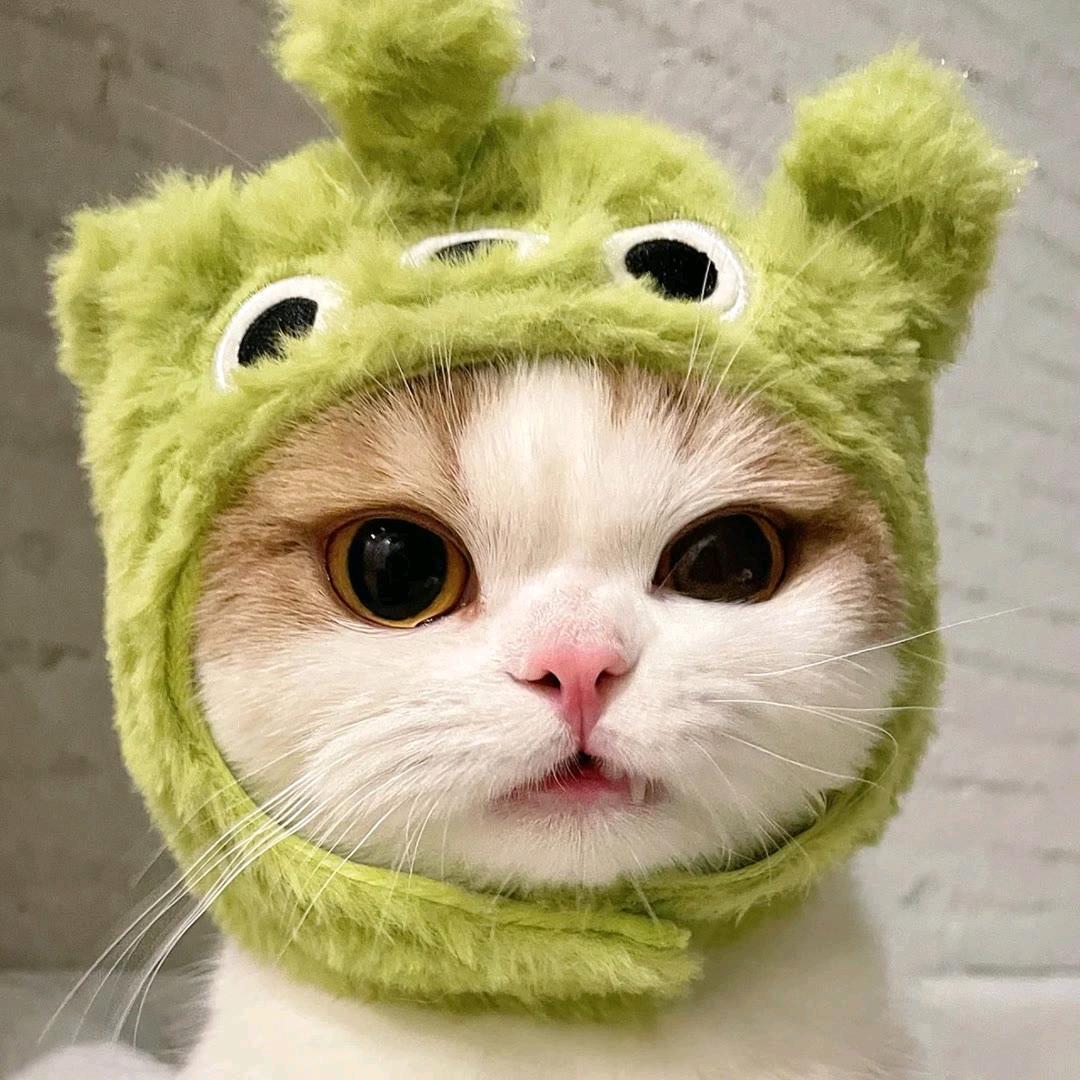 念念呦
