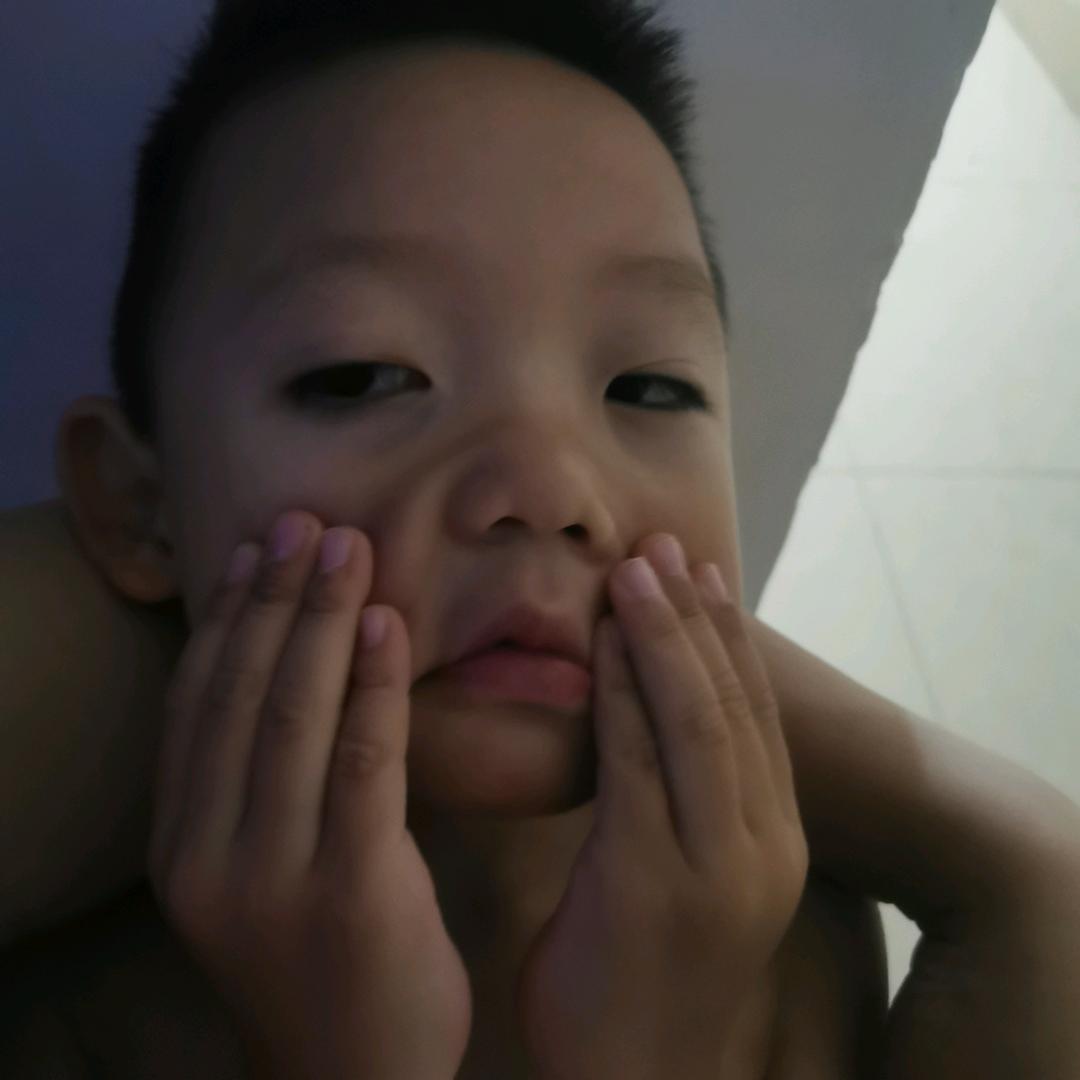 晓枫一叶头像