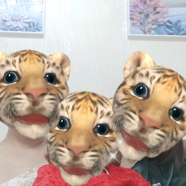 半壶烟沙