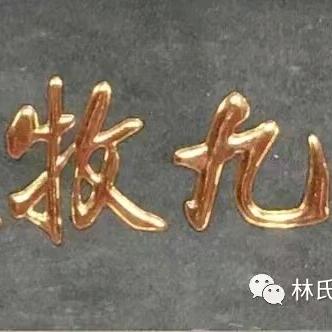 南竿塘岛的陈楠头像