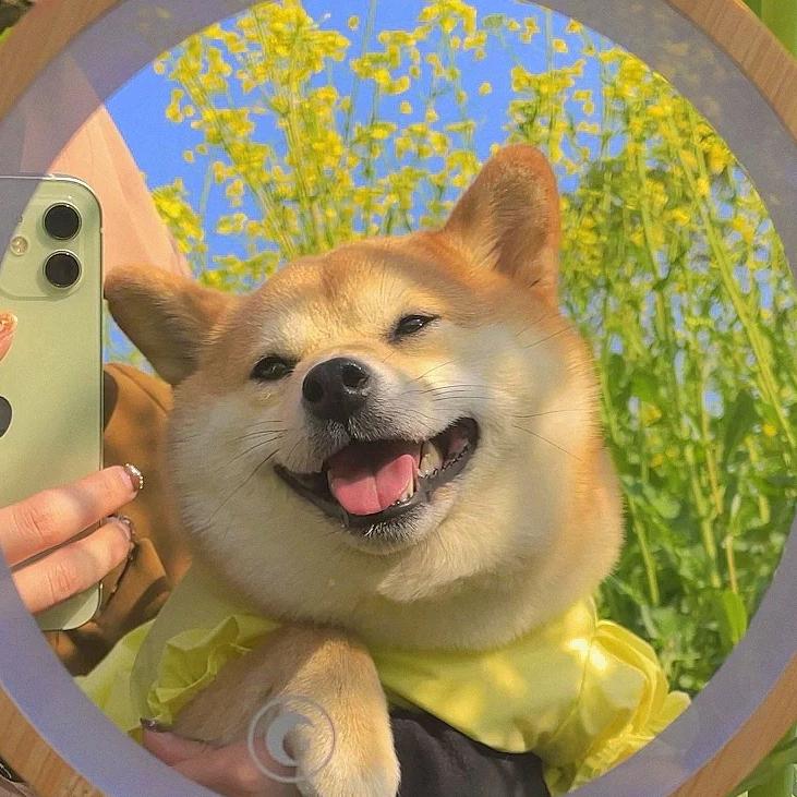 旺旺利