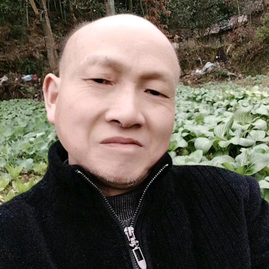 六哥(智慧人生)