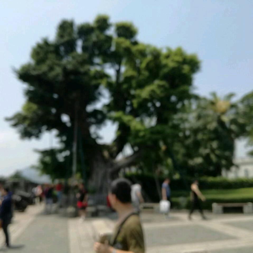 老罗