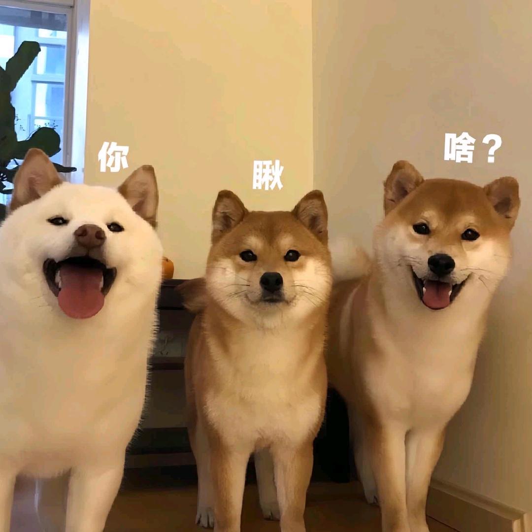 管理员