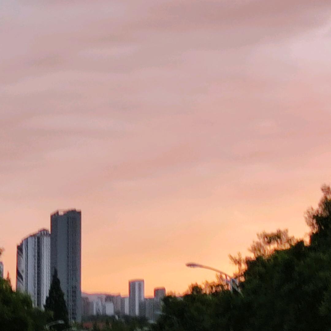 球鸡噜咕