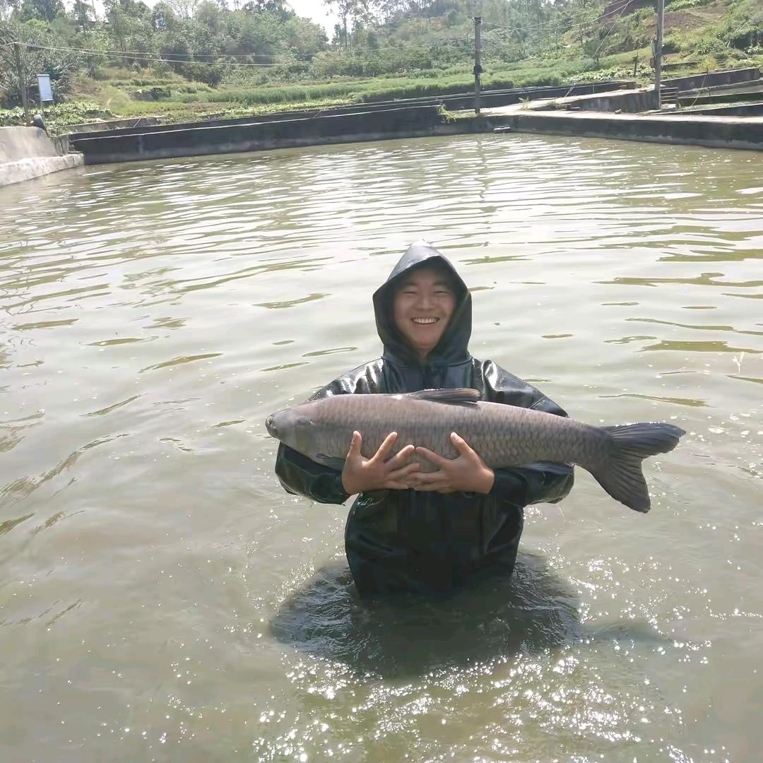 馥铭水产