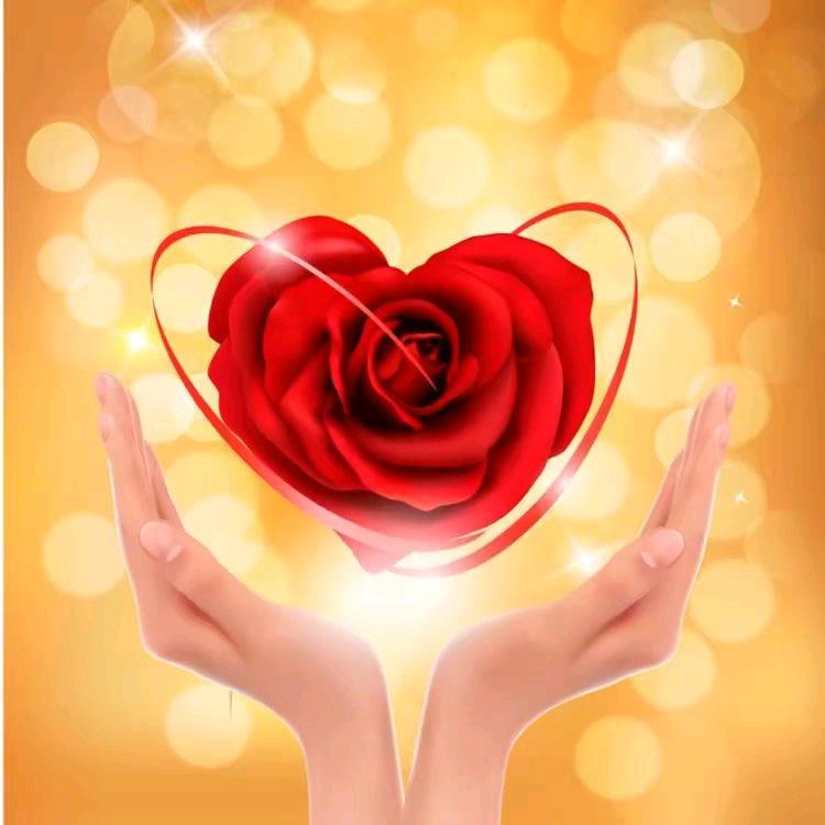 俊哥🌹🌹🌹