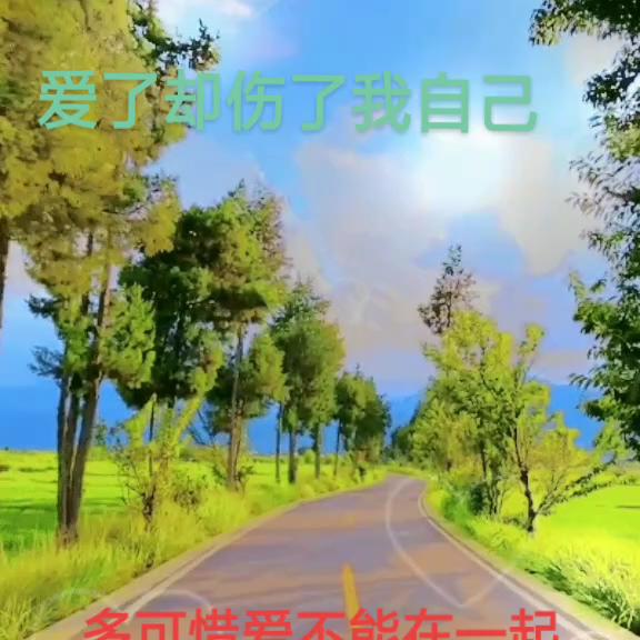 一生有你