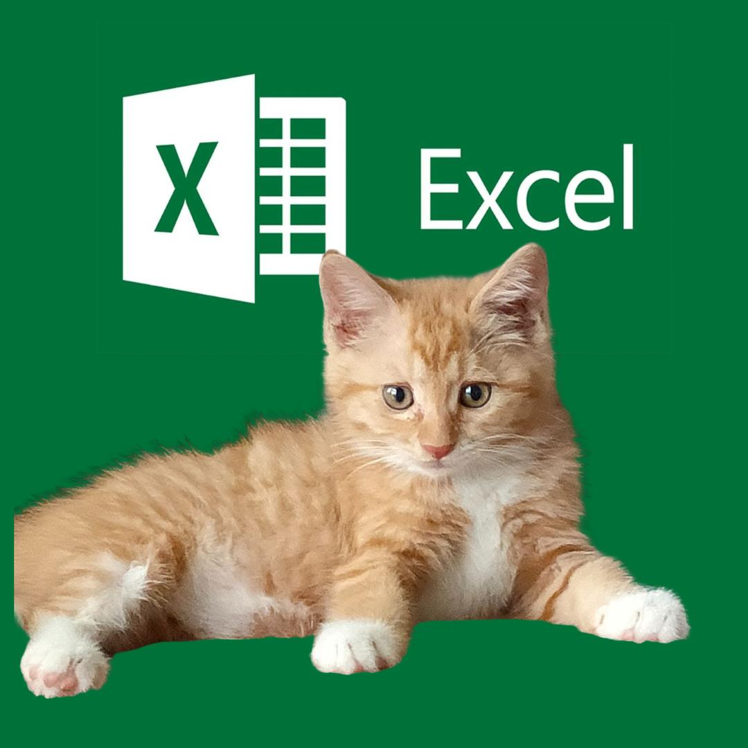 大猫老师Excel