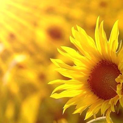 美滋源电子商务