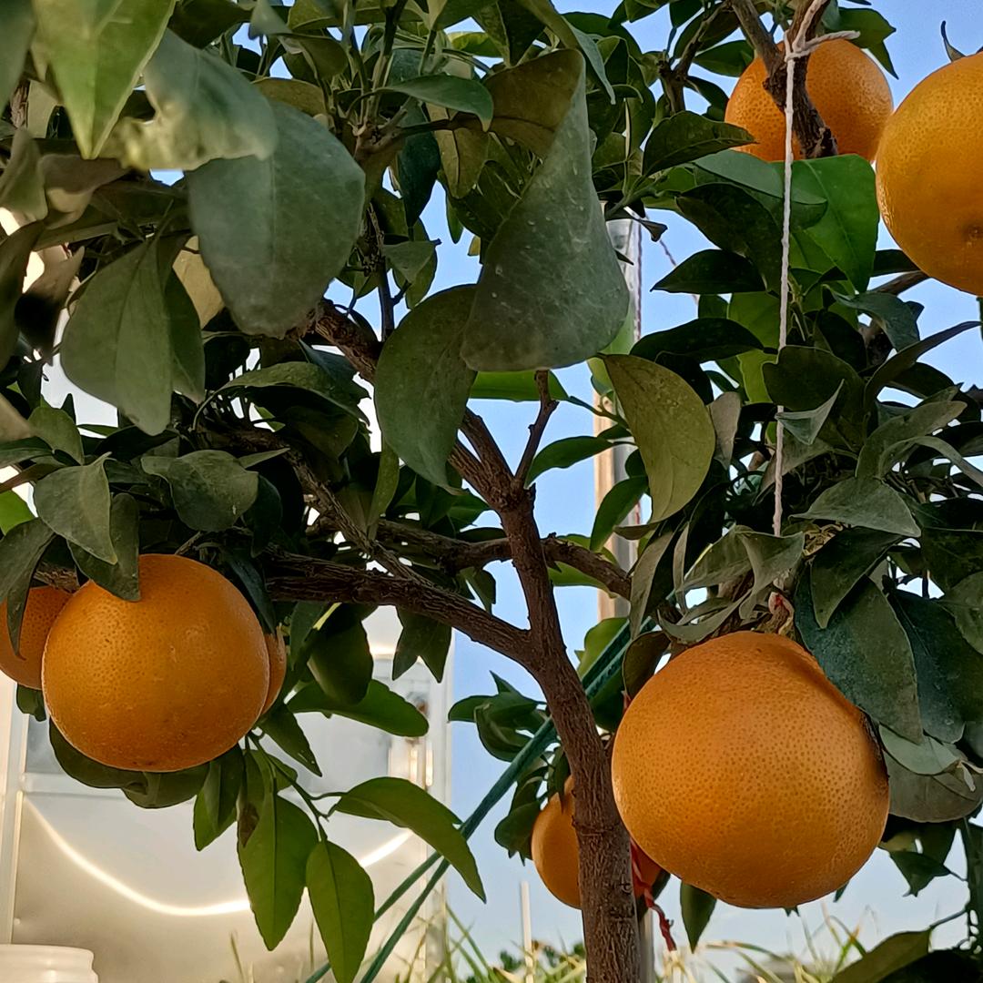 我爱我家