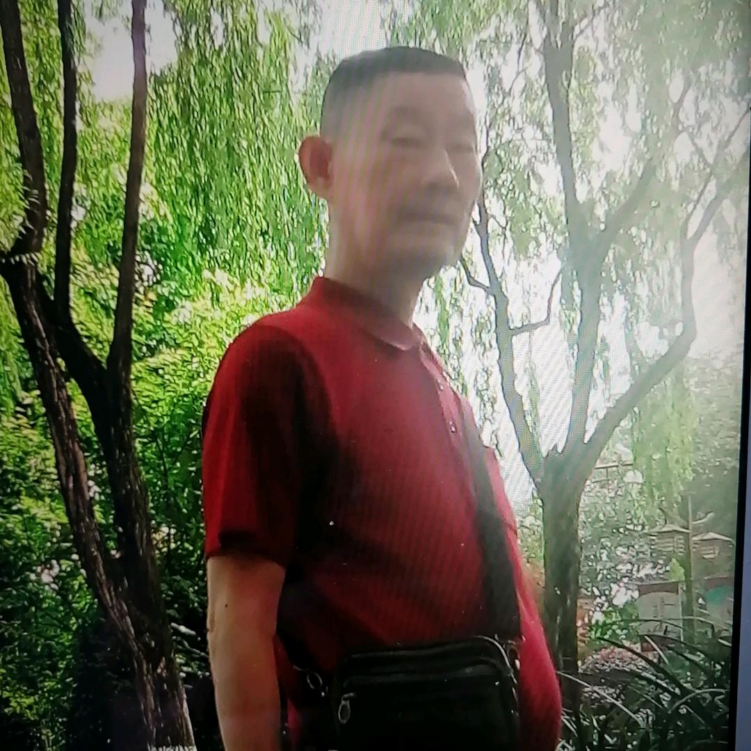 枫叶88