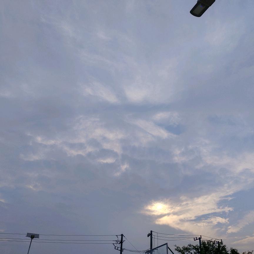 吾系高先生头像