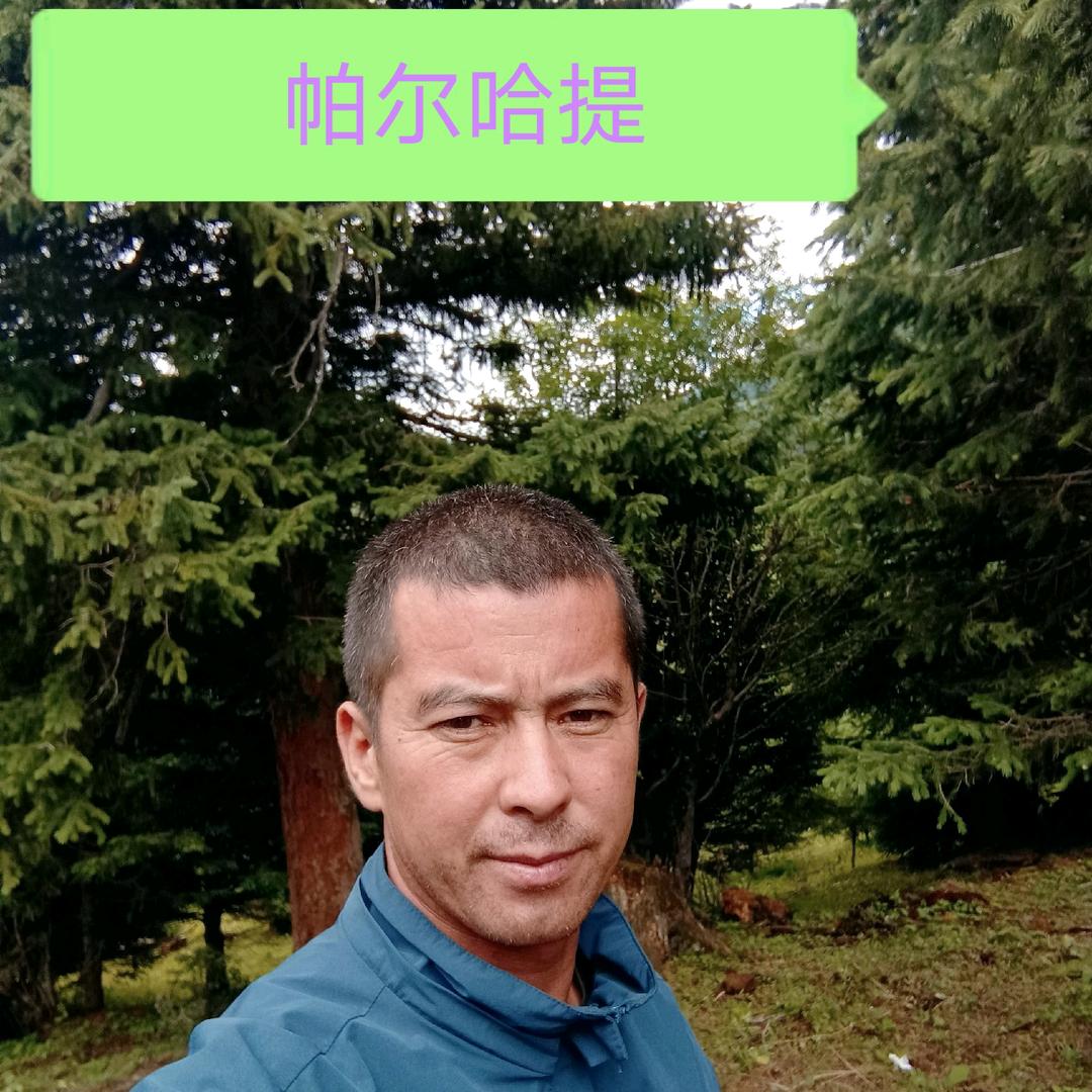 帕尔哈提🔥