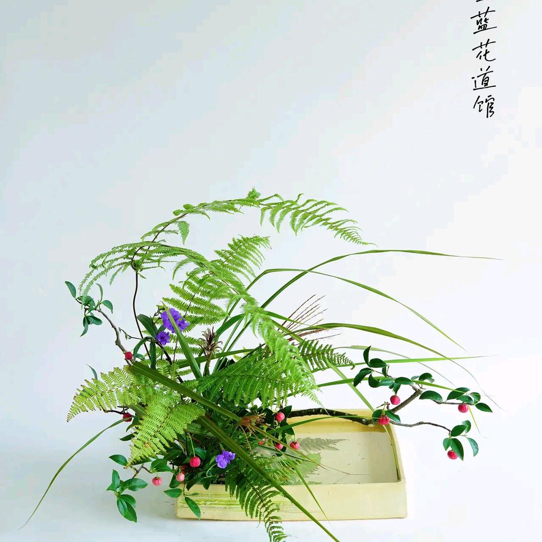 风的季节(*˘︶˘*).。.:*♡